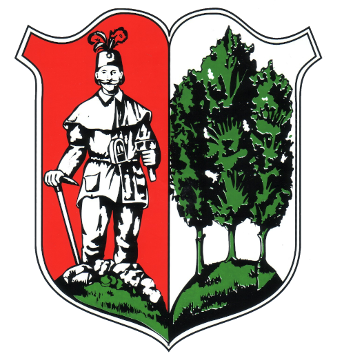 Wappen der Stadt Oelsnitz / Erzgebirge